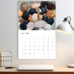 Calendrier de photographie de coquillages de Flori