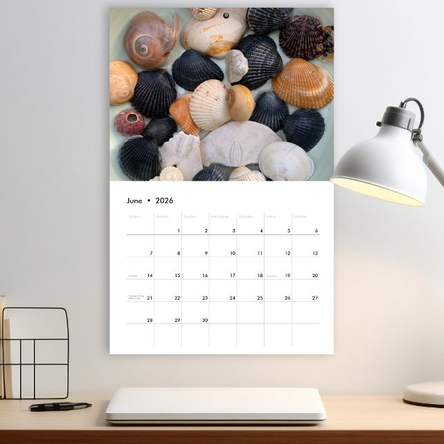 Calendrier de photographie de coquillages de Flori (Créateur téléchargé)