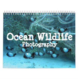 Calendrier de photographie de faune d'océan