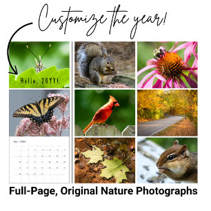 Calendrier de photographie de la faune du Jardin d