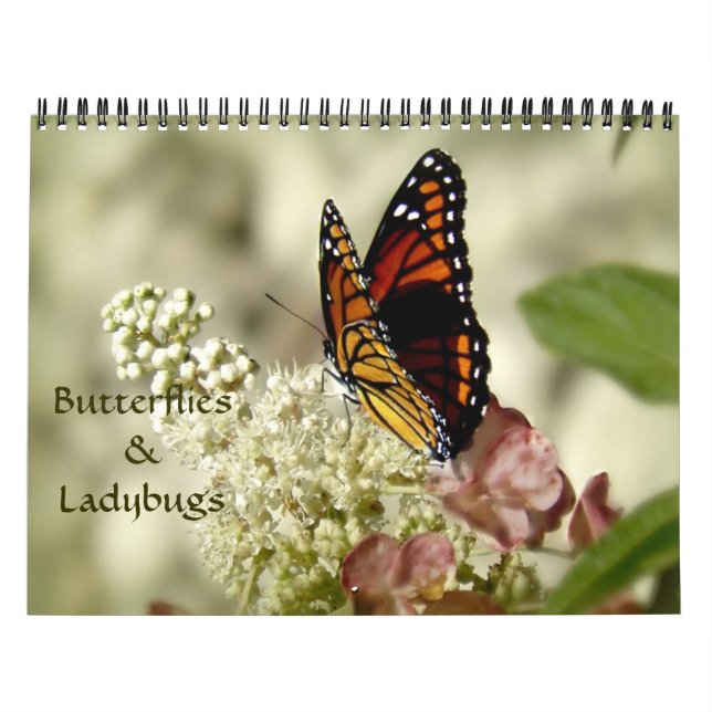 Calendrier de photographie de papillons et de (Protection)