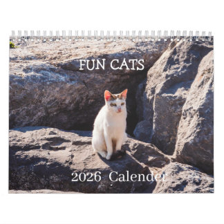 Calendrier de photos de chat drôle – Moustaches et