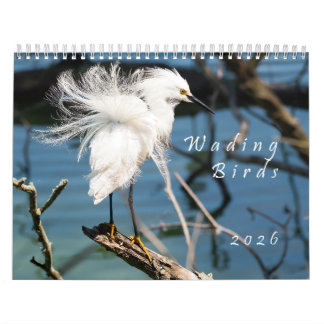 Calendrier de photos originales d'oiseaux échassie