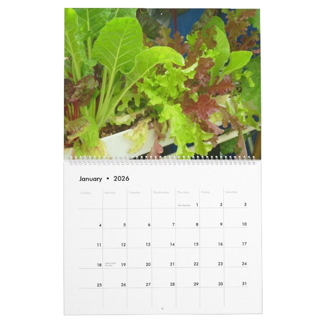 Calendrier de piscine de 2013 jardins - grand (Jan 2026)