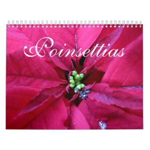 Calendrier de poinsettias