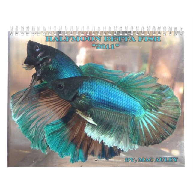 Calendrier de poissons de Betta de demi-lune (Protection)