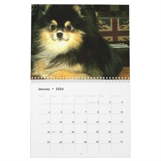 Calendrier de Pomeranian (Jan 2026)