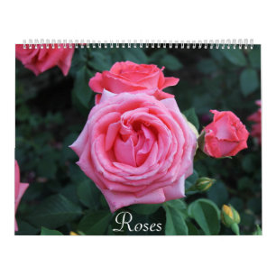 Calendrier de portrait rose