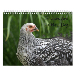 Calendrier de poulet