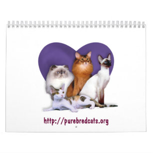 Calendrier de race de délivrance de race de chat