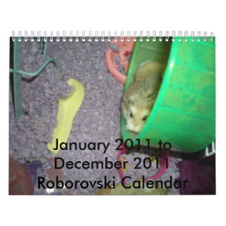 Calendrier de Roborovski 2011