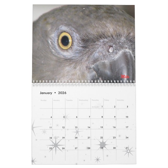 Calendrier de Senegals 2009 - customisé (Jan 2026)