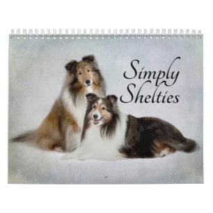 Calendrier de Sheltie