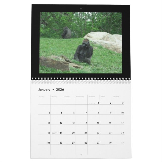 calendrier de singes (Jan 2026)