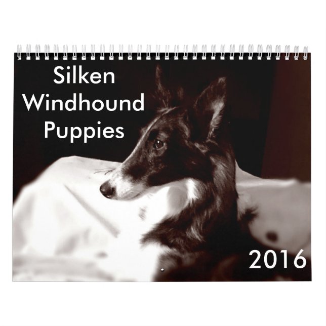 calendrier de soie de 4 2016 chiots de Windhound (Protection)