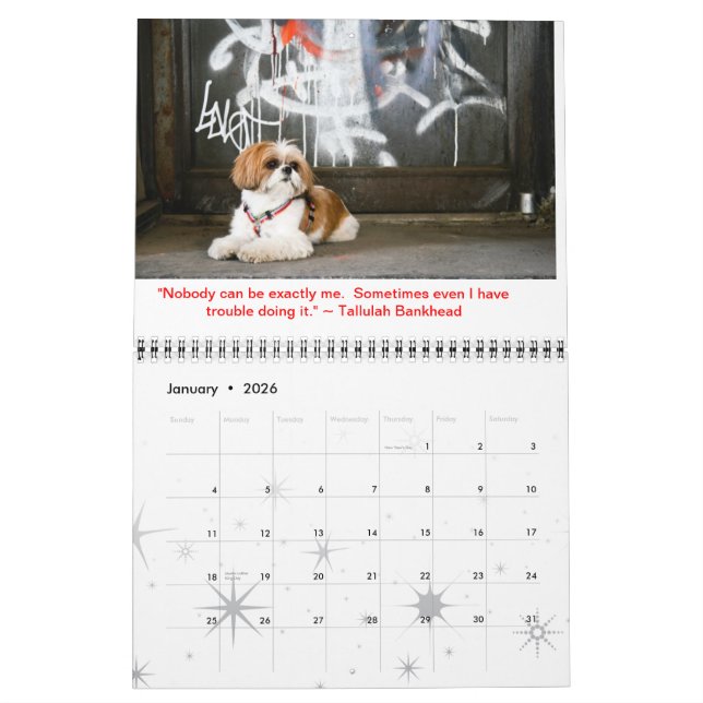 Calendrier de Tallulah Bean Cute Shih Tzu 2014 (Jan 2026)