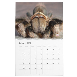 Calendrier de tarentule pour 2018