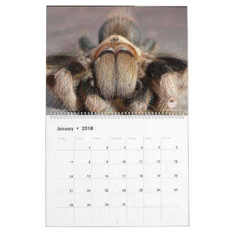 Calendrier de tarentule pour 2018