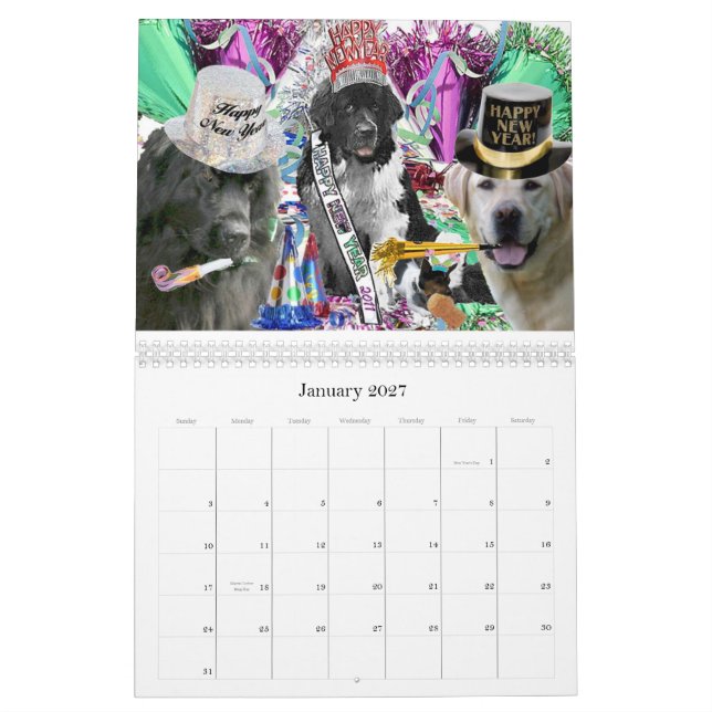 Calendrier de Terre-Neuve (Jan 2027)