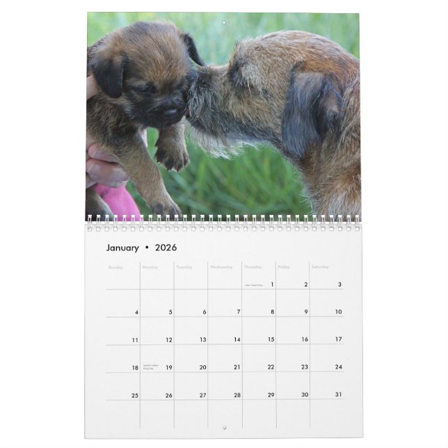 Calendrier de Terrier de frontière 2015 (Jan 2026)