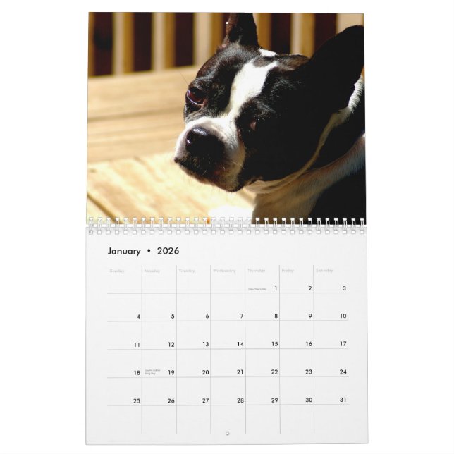 Calendrier de terriers de Boston (Jan 2026)