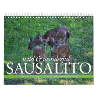 Calendrier de THINKSausalito 2012