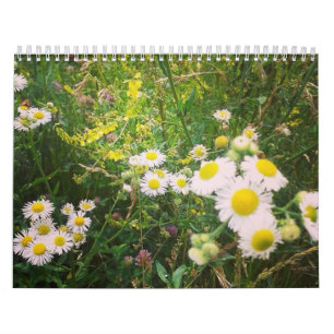 Calendrier de vie à la campagne