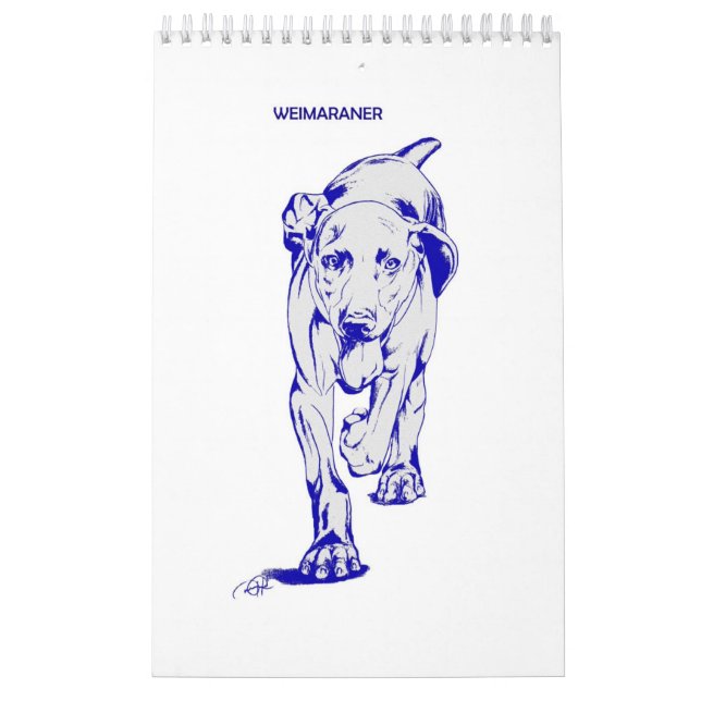 Calendrier de Weimaraner par Candra (Protection)