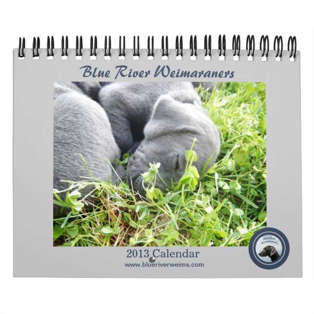 Calendrier de Weimaraners de rivière de 2013 bleus (Protection)