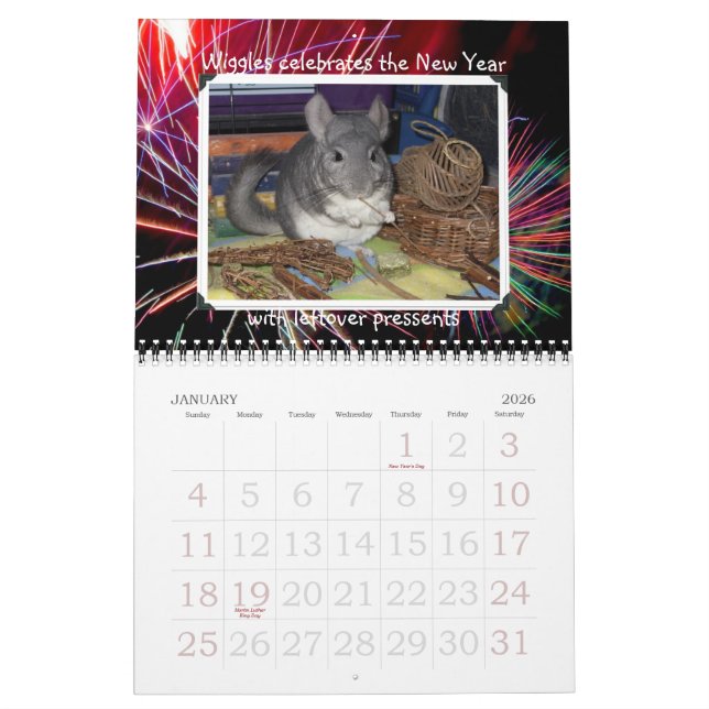Calendrier de Wunderchins 2012 (Jan 2026)
