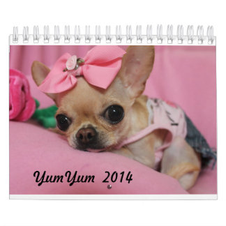 Calendrier de YumYum 2014