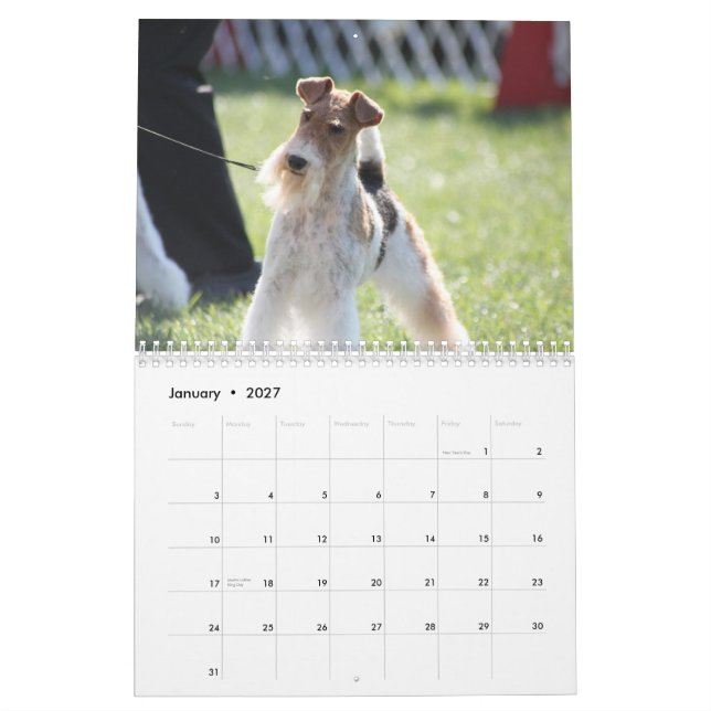 Calendrier d'Eliza (Jan 2027)