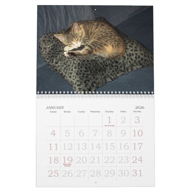 Calendrier d'Emma (Jan 2026)