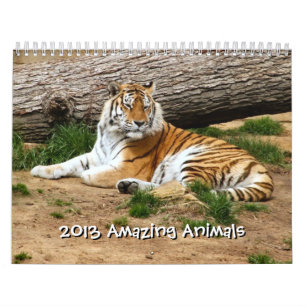 Calendrier des 12 mois 2013 pour les animaux Extra