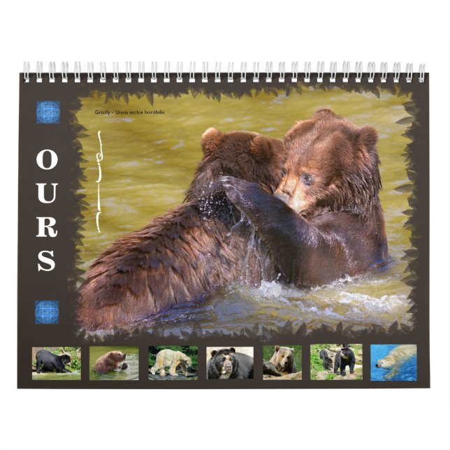 Calendrier des 12 mois divers ours (Protection)