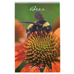 Calendrier des abeilles Aimer les abeilles