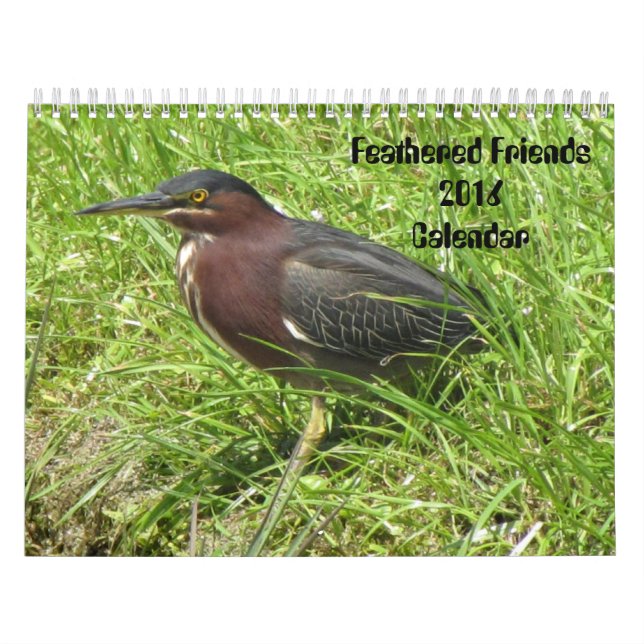 Calendrier des amis plumés 2016 (Encore) (Protection)