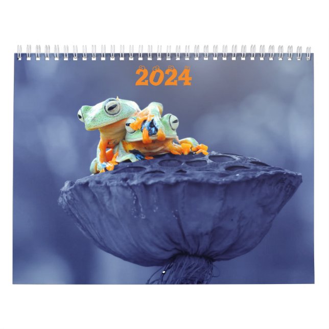 Calendrier des amoureux de la grenouille 2024 (Protection)