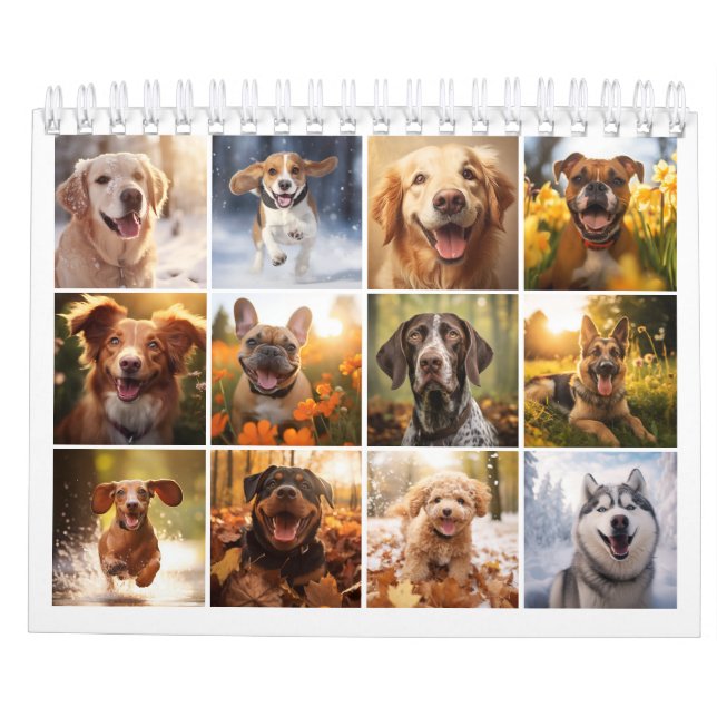 Calendrier des Amoureux de les chiens 2024 (Dos)