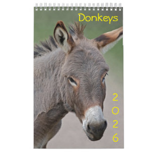 Calendrier des ânes