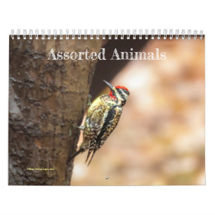 Calendrier des animaux agités