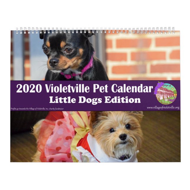 Calendrier des animaux de compagnie de Violetville (Protection)