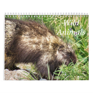 Calendrier des Animaux Sauvages