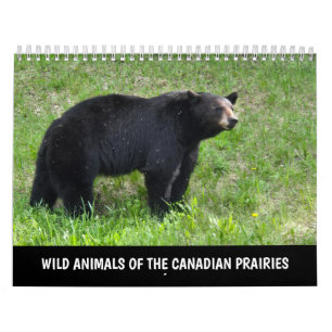 Calendrier des Animaux Sauvages des Prairies Canad