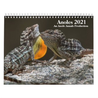 Calendrier des anneaux 2021