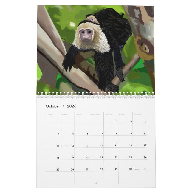 Calendrier des aquarelles par Island Art Bocas (Oct 2026)