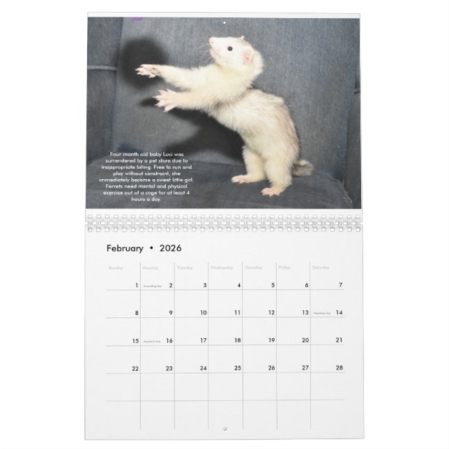 Calendrier des avantages Secours Ferret (Feb 2026)