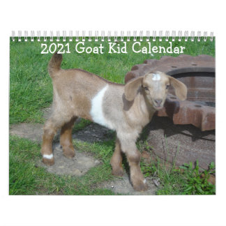 Calendrier des bébés chèvres