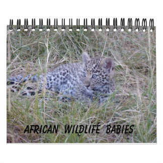 CALENDRIER DES BÉBÉS DE LA FAUNE AFRICAINE
