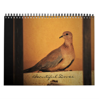 Calendrier des belles colombes